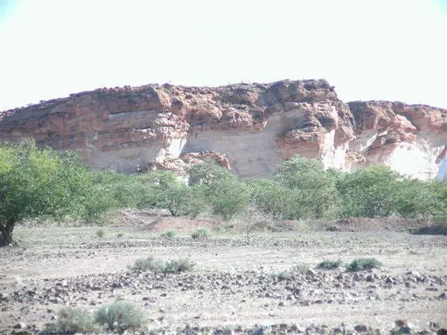 Walvis Bay Pelicans & Dolphins